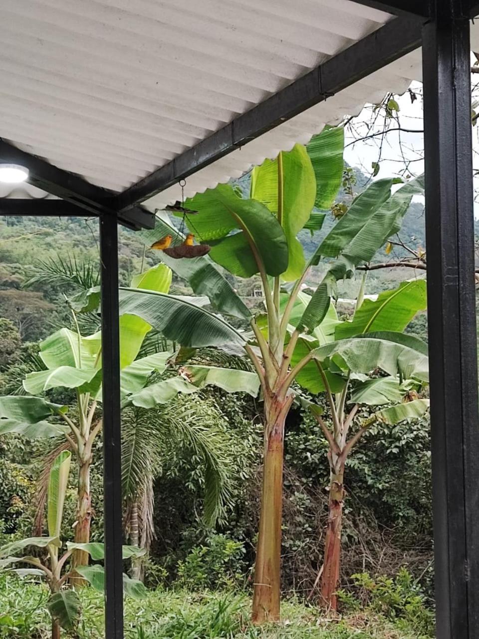 Casa Campestre Marias Nocaima